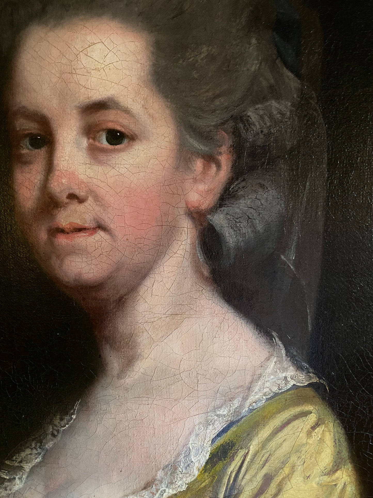 Portrait of an English Lady