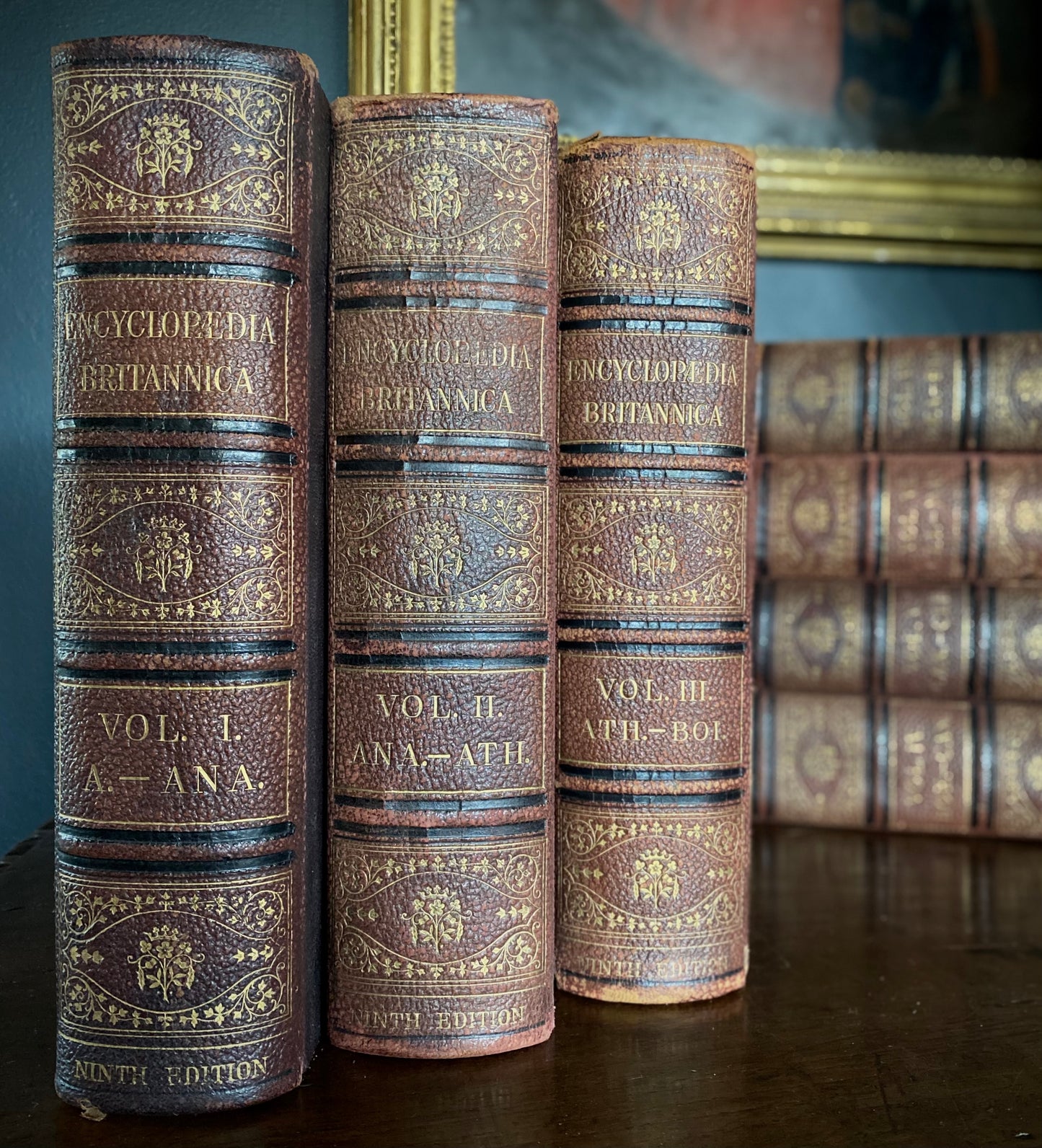 Encyclopedia Britannica (Ninth Edition 1-24 & New Volumes 25-35)
