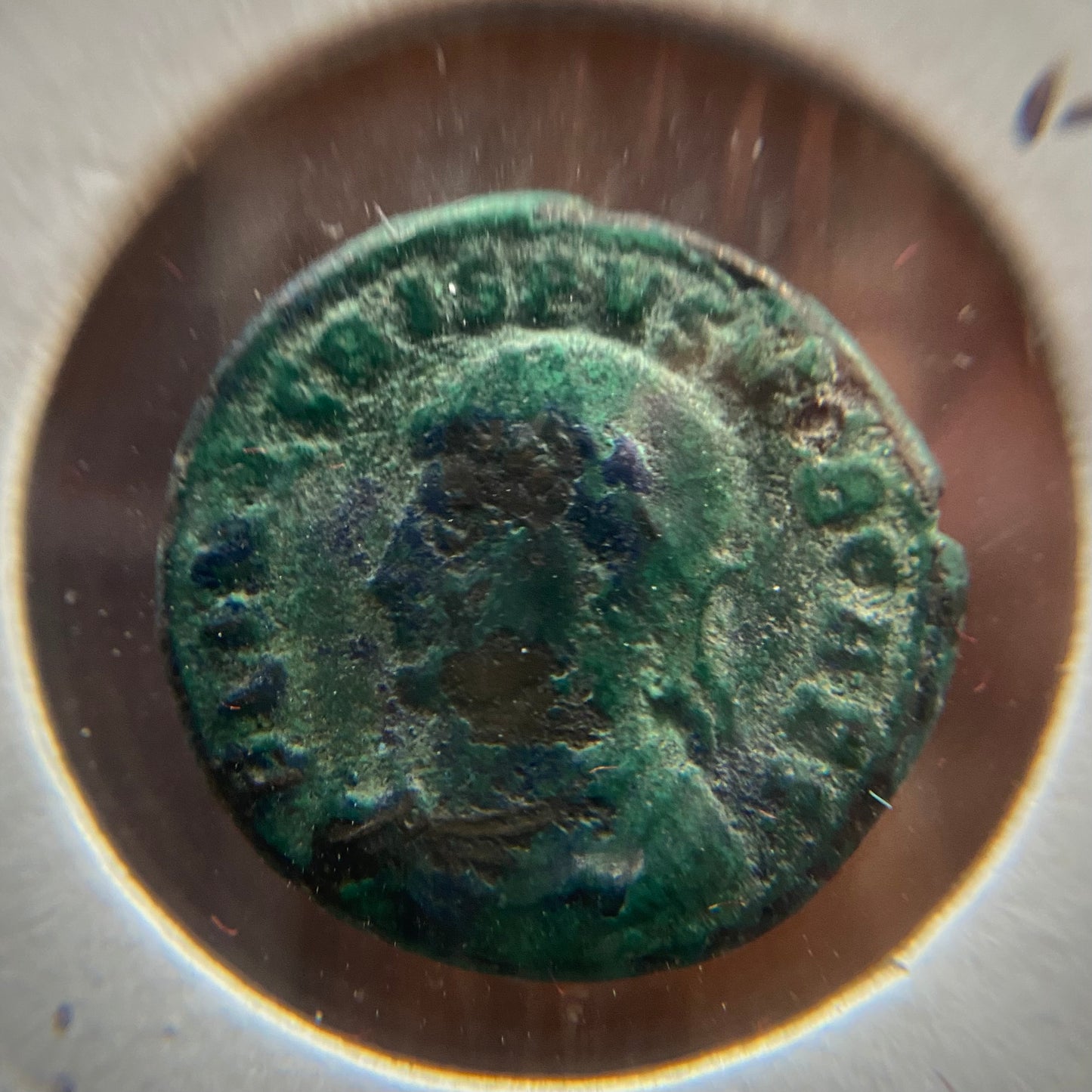 Crispus AE Follis