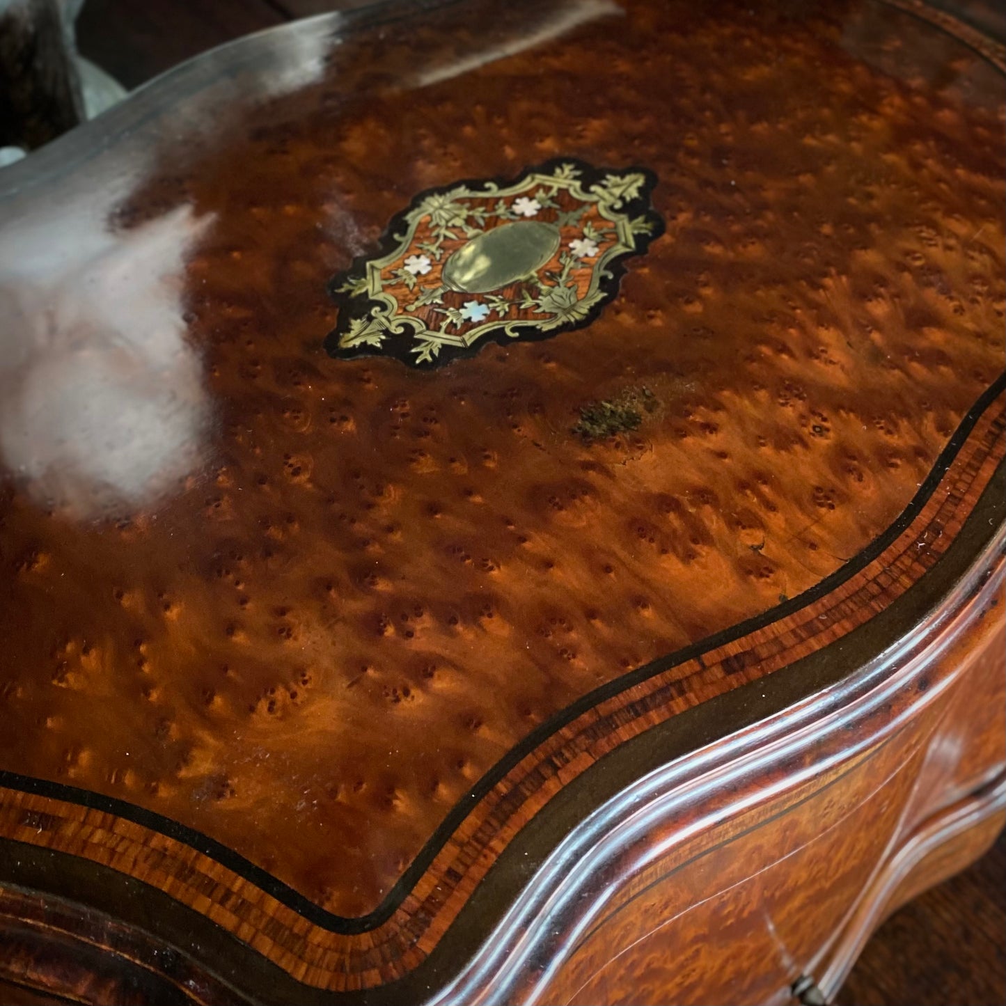 French Bird's Eye Maple Cave a Liqueur C.1850