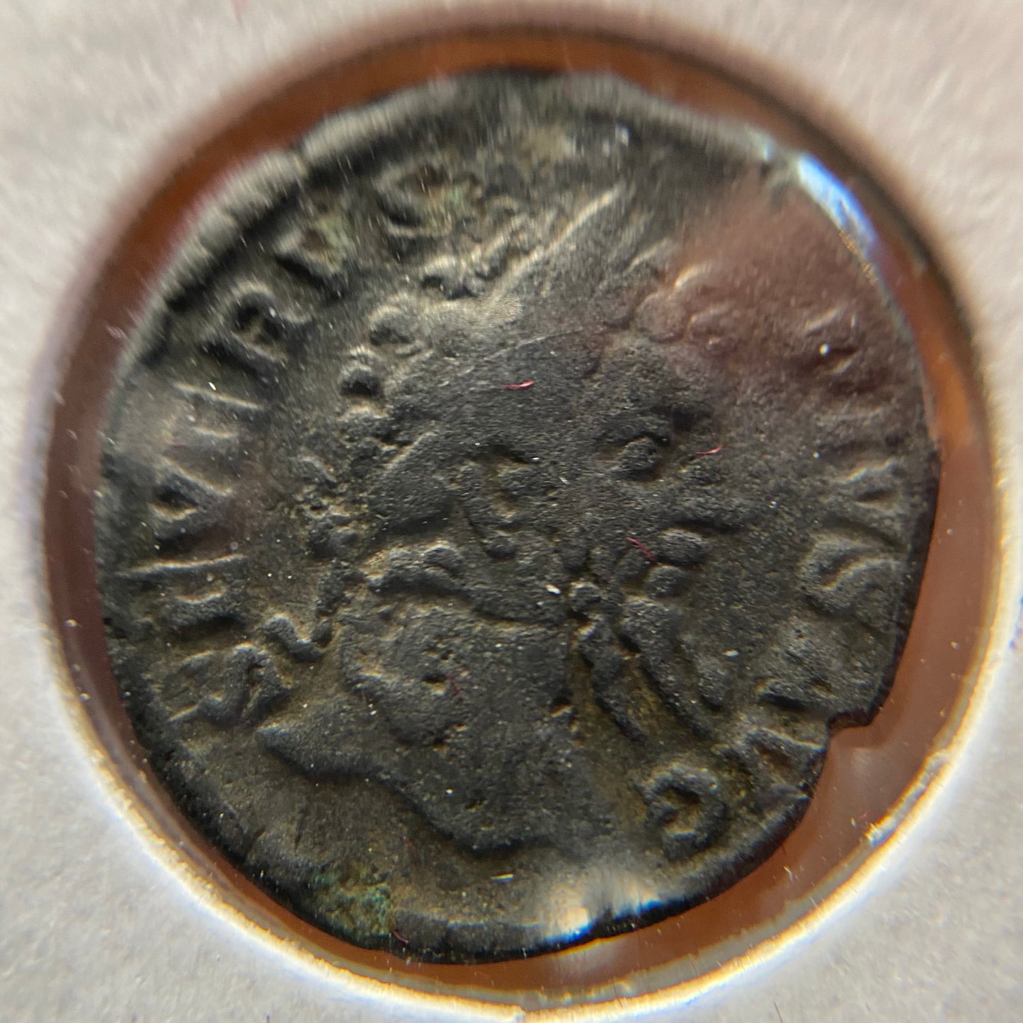 Septimius Severus Denarius